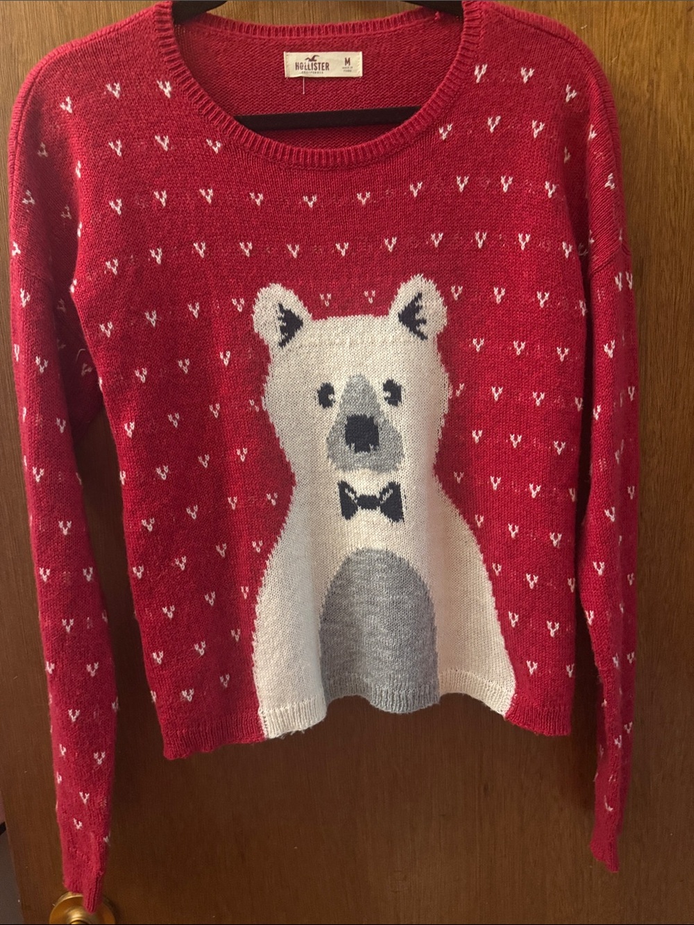 Hollister Red Crewneck Sweater with White Polar Bear Graphic